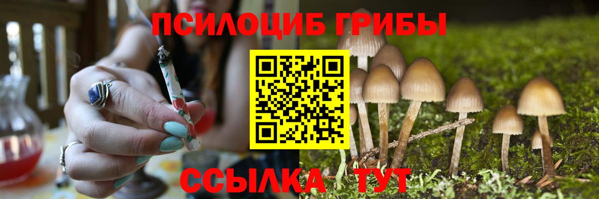 Галлюциногенные грибы Magic Shrooms  Галлюциногенные грибы GOLDEN TEACHER  Вход с VPN  Острогожск 